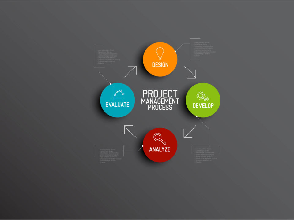 project management